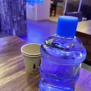 완도머스마 | [대전 신성동] 전복미역국이 맛있는 완도머스마 (추천메뉴)