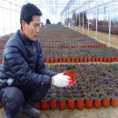 금송농장 이미지