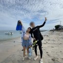 만타가오리 스노쿨링+섬투어 1편] 정말 고심해서...정말 만족했던 투어 (상세후기, 추천이유, 준비물 등)