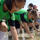 수왕초등학교 이미지