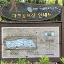 파크골프 입문 이미지