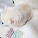 이가소프트 이미지