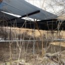 송악면 송악로 이미지