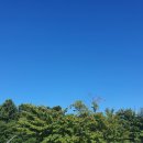 막창도둑 이미지