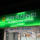 포항축산농협축산물프라자달전점 | 포항 품질좋은 소고기 맛집 포항 축산 농협 축산물프라자 달전점