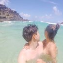 쇼어컴퍼니 이미지