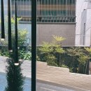 청담예물 꿈에 그리던 반조애! 신상디자인 (샤넬, 피아제, 불가리)
