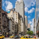 Sing Green Golf 이미지