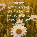 힐링 행복열차 출발~452 이미지