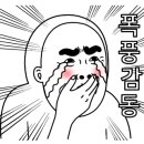 사상태권도 이미지