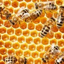 안정슈퍼 이미지