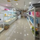 햄스터살롱 이미지