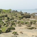 바닷길 풍경 이미지