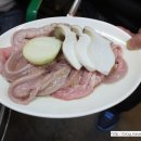 왓다숯불꼼장어 이미지