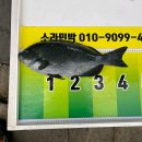 마라도 바다민박 이미지