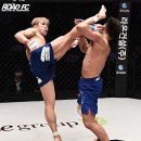 코리아타이거체육관 이미지