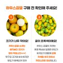 가정농장 | 제주 감귤 10kg, 아직도 비싸게 사세요? 농장 직송 '가정용 못난이 귤' 가성비 끝판왕 솔직 후기!