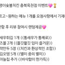 기영이숯불두마리치킨충북 - 진천군 공원로 18 | 기영이숯불두마리치킨충북