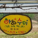 용소농장 이미지