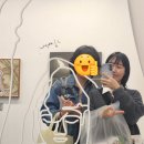 붓다보이차 이미지