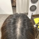 상남동142 이미지