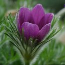 상명세탁 이미지