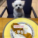 BHC운정한빛점 | 야당역 치맥 운정 치킨 bhc 뿌링클 치즈볼 치로스 파주 야식