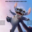 밝은실사 이미지