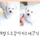개밥드슈 | 수유동 강아지수제간식 개밥드슈 후기