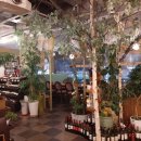 알토하임 이미지