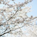 부귀리 마을회관 이미지