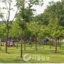 솔찬공원 이미지