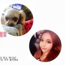 쌀국수 반가 이미지