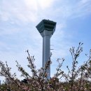 홋카이도 6박 7일 여행코스 미리보기 | 삿포로 근교 가볼만한 곳, 여름휴가 추천