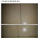 써니클린