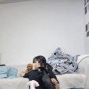 까까줄개 이미지