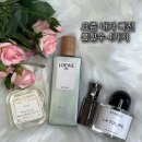 바이올렛약국 | 노벨라 프리지아 · 바이레도 라튤립 · 로에베 아이레 수틸레사 · 다니엘트루스 밤쉘 내돈내산 후기