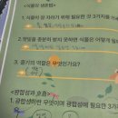 오늘 과학 독서논술 수업후기