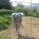 백두농장2 이미지