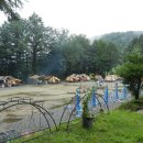 서천금빛노을서울캠핑장 이미지