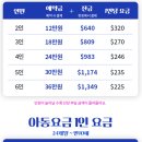 일정 | 필리핀 보홀 여행 호핑 나팔링 투어 일정 후기