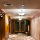 3216 | [서대문] 크리스마스 무드 가득했던 '스위스 그랜드 호텔' 킹디럭스룸 후기