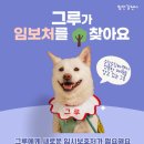 그루/여아/4살 이미지