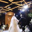 라온제나 이미지