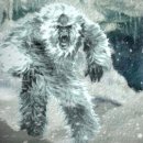 장보는강아지와고양이 이미지