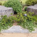 서해낙조 고벵이 펜션 | 서해 갯벌과 낙조를 정원에서 즐기는 해안29번가 펜션