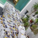 페리카나(일동점) 이미지