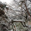 우장산근린공원 이미지