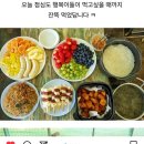 도담유치원 | [동탄 숲유치원]도담도담 숲에서 행복한 아이들 후기