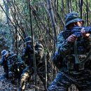 📣[1사단 소식] 해병대 정신으로! 동계 산악지형 정복 자신 이미지